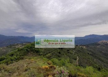 Foto 88 - Rustic località Alpicella
 
snc, Dolceacqua - photo 88