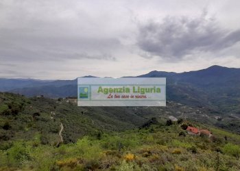 Foto 89 - Rustic località Alpicella
 
snc, Dolceacqua - photo 89