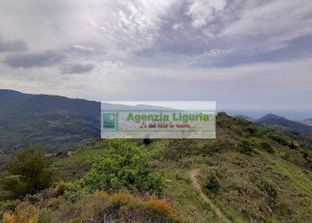 Foto 91 - Rustic località Alpicella
 
snc, Dolceacqua - photo 91