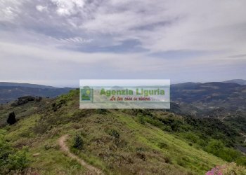 Foto 92 - Rustic località Alpicella
 
snc, Dolceacqua - photo 92