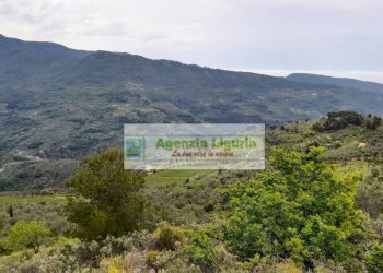 Foto 93 - Rustic località Alpicella
 
snc, Dolceacqua - photo 93