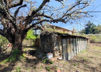 Foto 11 - Independent house Località Collabella snc, Dolceacqua - photo 11