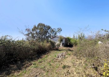 Foto 12 - Independent house Località Collabella snc, Dolceacqua - photo 12