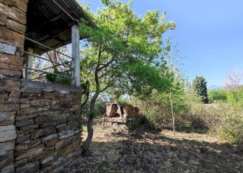 Foto 14 - Independent house Località Collabella snc, Dolceacqua - photo 14