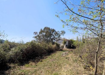 Foto 15 - Independent house Località Collabella snc, Dolceacqua - photo 15