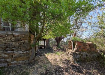 Foto 18 - Independent house Località Collabella snc, Dolceacqua - photo 18