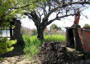 Foto 20 - Independent house Località Collabella snc, Dolceacqua - photo 20