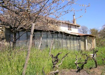 Foto 22 - Independent house Località Collabella snc, Dolceacqua - photo 22