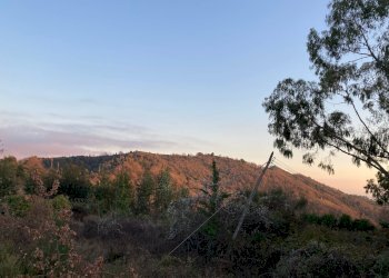 Foto 25 - Independent house Località Collabella snc, Dolceacqua - photo 25