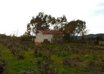 Foto 46 - Independent house Località Collabella snc, Dolceacqua - photo 46