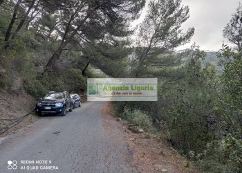 Foto 3 - Rustico Perinaldo - foto 3