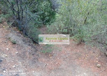 Foto 4 - Rustico Perinaldo - foto 4