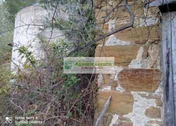 Foto 11 - Rustico Perinaldo - foto 11