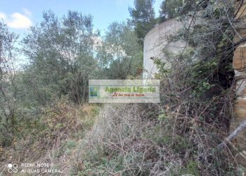 Foto 15 - Rustico Perinaldo - foto 15