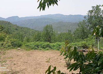 Foto 2 - Independent house località Funtanin
 
snc, Perinaldo - photo 2