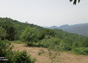 Foto 3 - Independent house località Funtanin
 
snc, Perinaldo - photo 3