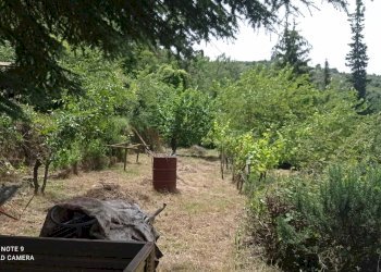 Foto 8 - Independent house località Funtanin
 
snc, Perinaldo - photo 8