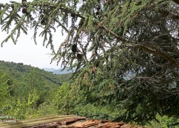 Foto 9 - Independent house località Funtanin
 
snc, Perinaldo - photo 9