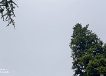 Foto 11 - Independent house località Funtanin
 
snc, Perinaldo - photo 11