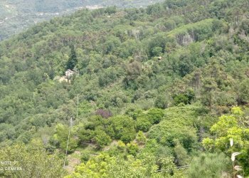 Foto 13 - Independent house località Funtanin
 
snc, Perinaldo - photo 13