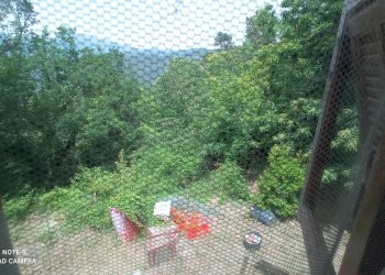 Foto 19 - Independent house località Funtanin
 
snc, Perinaldo - photo 19