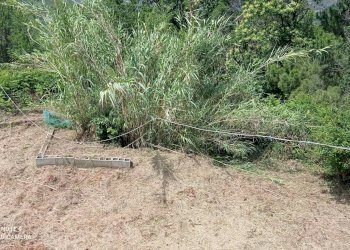 Foto 24 - Independent house località Funtanin
 
snc, Perinaldo - photo 24