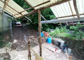 Foto 42 - Independent house località Funtanin
 
snc, Perinaldo - photo 42