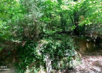 Foto 48 - Independent house località Funtanin
 
snc, Perinaldo - photo 48