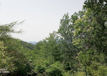 Foto 59 - Independent house località Funtanin
 
snc, Perinaldo - photo 59