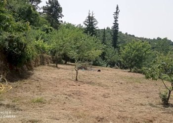 Foto 60 - Independent house località Funtanin
 
snc, Perinaldo - photo 60