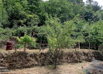 Foto 61 - Independent house località Funtanin
 
snc, Perinaldo - photo 61