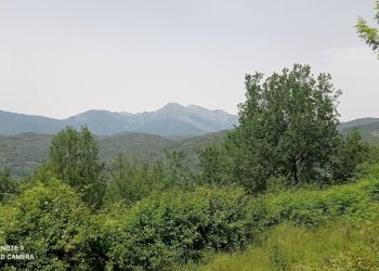 Foto 62 - Independent house località Funtanin
 
snc, Perinaldo - photo 62