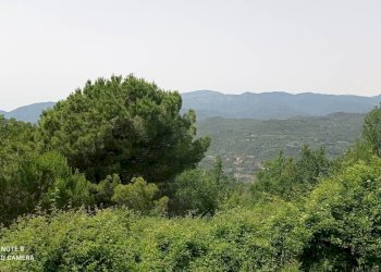 Foto 63 - Independent house località Funtanin
 
snc, Perinaldo - photo 63