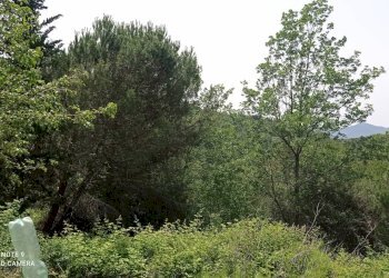 Foto 64 - Independent house località Funtanin
 
snc, Perinaldo - photo 64