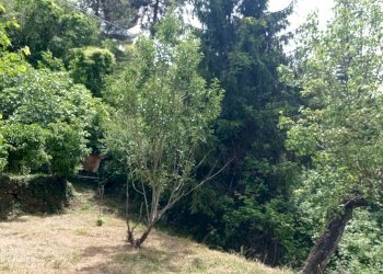 Foto 65 - Independent house località Funtanin
 
snc, Perinaldo - photo 65