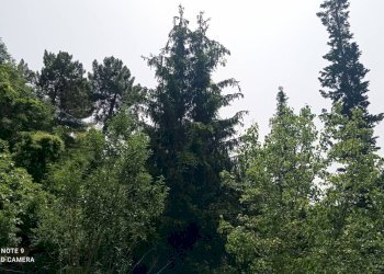 Foto 66 - Independent house località Funtanin
 
snc, Perinaldo - photo 66