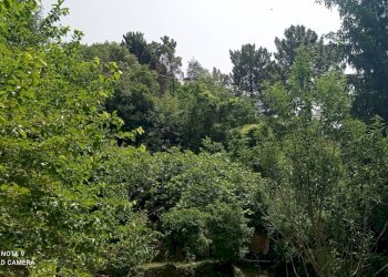 Foto 67 - Independent house località Funtanin
 
snc, Perinaldo - photo 67