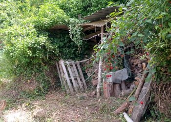 Foto 75 - Independent house località Funtanin
 
snc, Perinaldo - photo 75