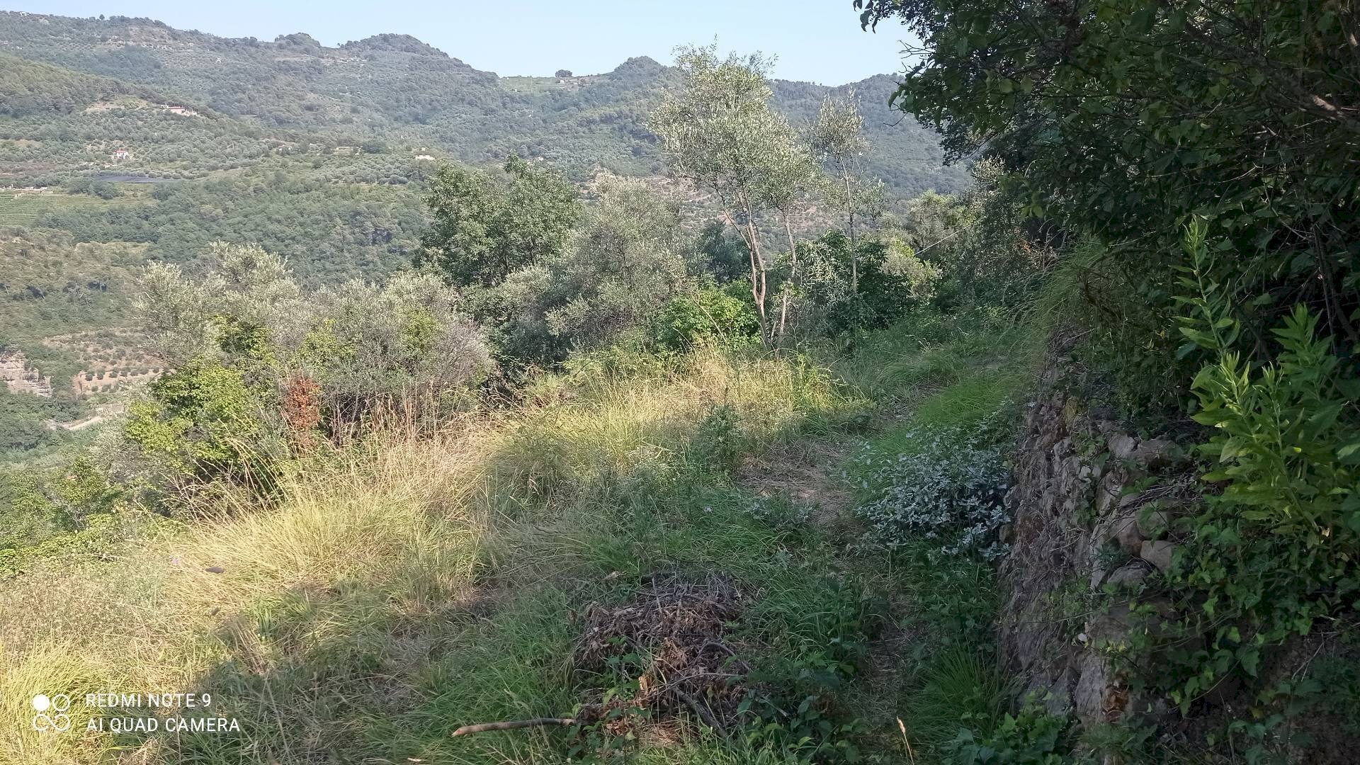 Foto 2 - Agricultural land Dolceacqua - photo 2