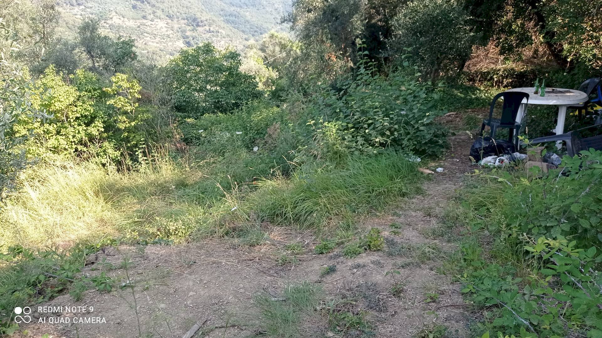 Foto 3 - Agricultural land Dolceacqua - photo 3