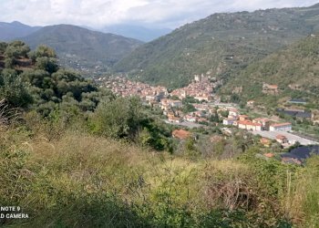 Foto 1 - Agricultural land Dolceacqua - photo 1