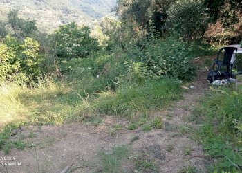 Foto 3 - Agricultural land Dolceacqua - photo 3