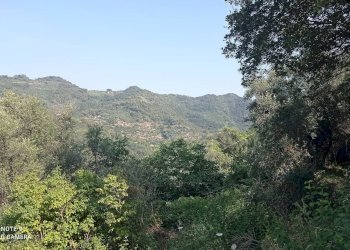 Foto 4 - Agricultural land Dolceacqua - photo 4