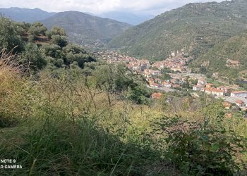 Foto 7 - Agricultural land Dolceacqua - photo 7