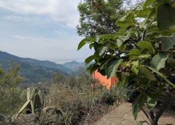 Foto 11 - Appartamento strada Beglium
 
18, Perinaldo - foto 11