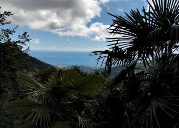 Foto 25 - Semi-detached house strada senatore ernesto marsaglia
 
485, Sanremo - photo 25