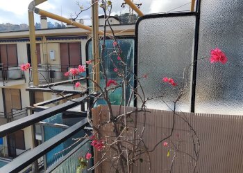 Foto 17 - Attico strada Borgo tinasso
 
85, Sanremo - foto 17