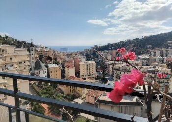 Foto 20 - Attico strada Borgo tinasso
 
85, Sanremo - foto 20
