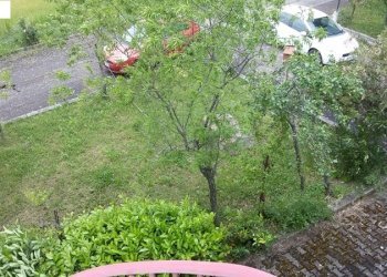 Foto 6 - Casa indipendente contrada maggiano
 
101, Vallata - foto 6