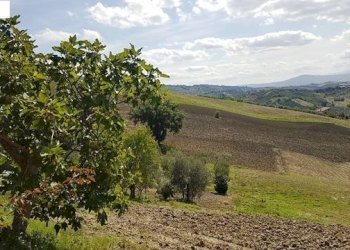 Foto 31 - Casa indipendente contrada acquasalza
 
40, Ariano Irpino - foto 31